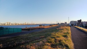 DSC_0626