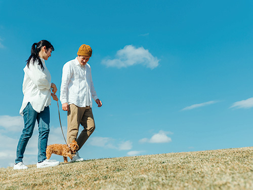夫婦が歩いている様子